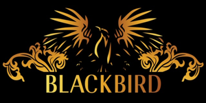 Blackbird Consulting - Brisbane